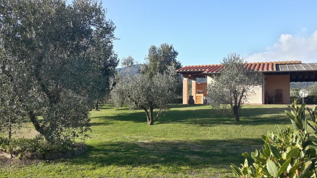 Agriturismo Casa Andreina Castiglione della Pescaia Ngoại thất bức ảnh