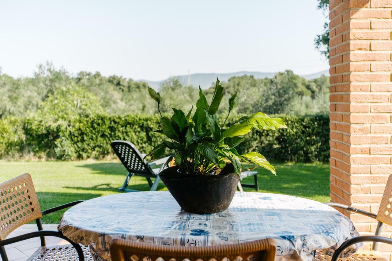 Agriturismo Casa Andreina Castiglione della Pescaia Ngoại thất bức ảnh