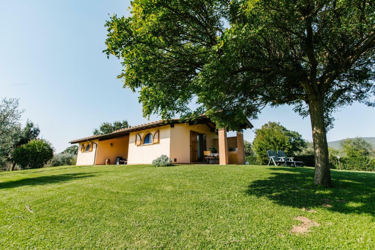 Agriturismo Casa Andreina Castiglione della Pescaia Ngoại thất bức ảnh