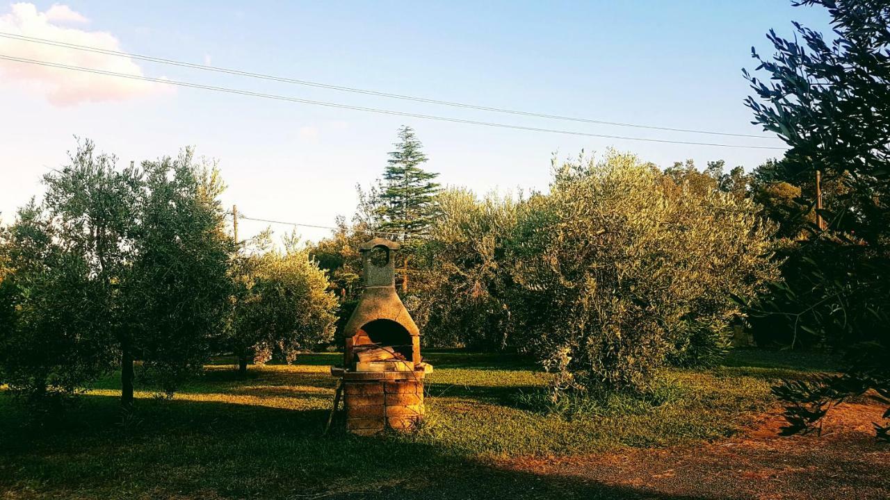 Agriturismo Casa Andreina Castiglione della Pescaia Ngoại thất bức ảnh