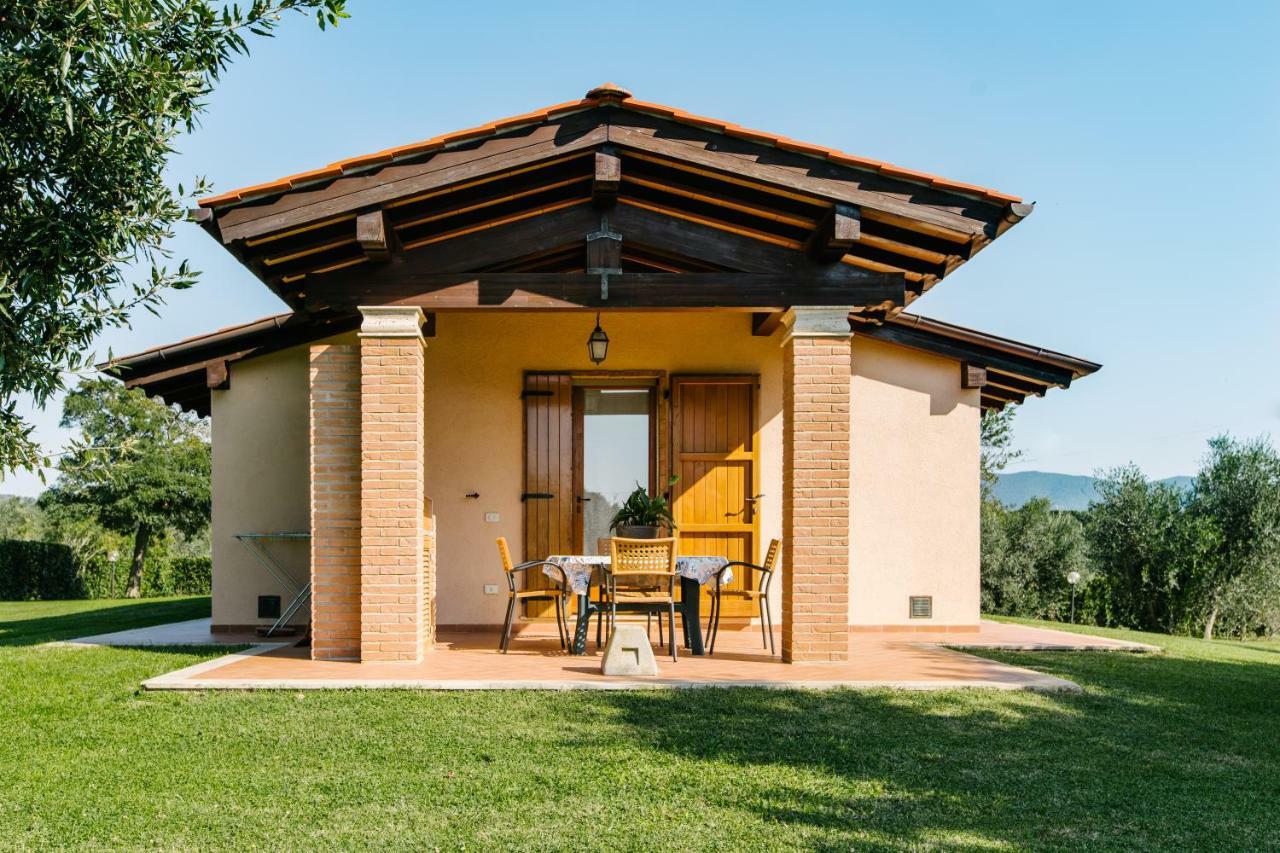 Agriturismo Casa Andreina Castiglione della Pescaia Ngoại thất bức ảnh