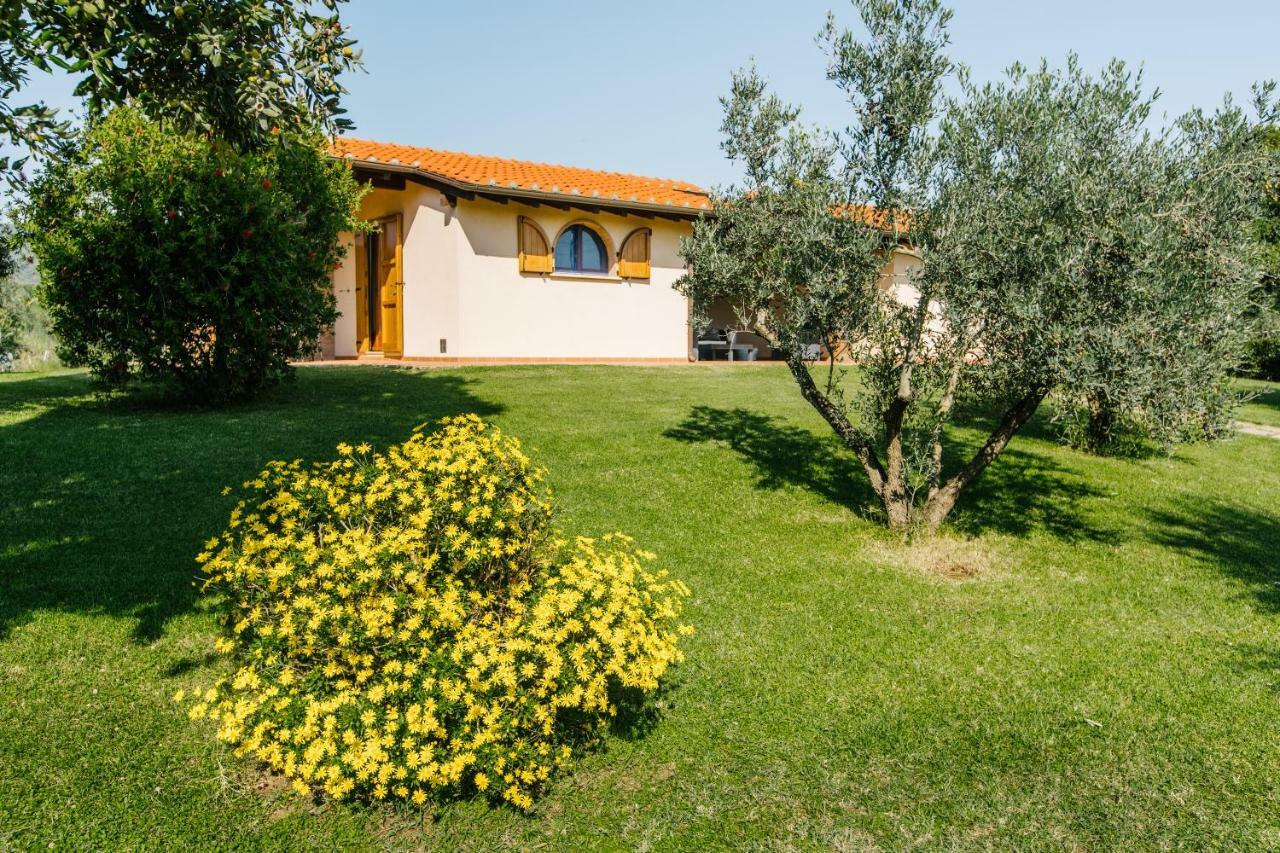 Agriturismo Casa Andreina Castiglione della Pescaia Ngoại thất bức ảnh